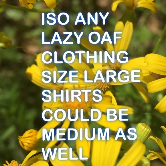 If you have lazy oaf for sale let me know!! - Picture 1 of 1